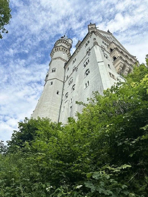 Neuschwanstein Castle viewed from the wooded slope below