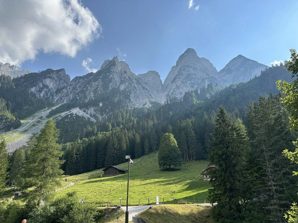 Green alpine meadow below the Dachstein mountains